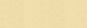 top_bg004